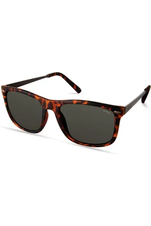Guess Homme, Accessoires, Brun, Taille: ONE Size Lunettes de Soleil en Résine Marron avec Verres Verts