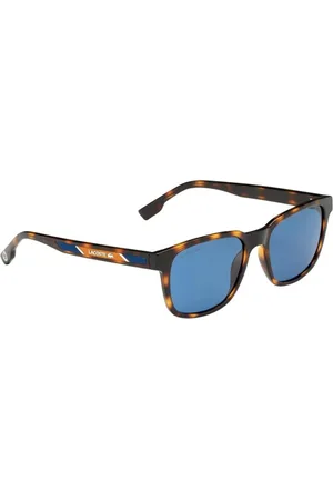 Lacoste Homme, Accessoires, Brun, Taille: ONE Size Lunettes de soleil marron injectées avec cadran