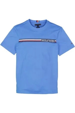 Tommy Hilfiger Homme, Tops, Bleu, Taille: S T-shirts et Polos élégants