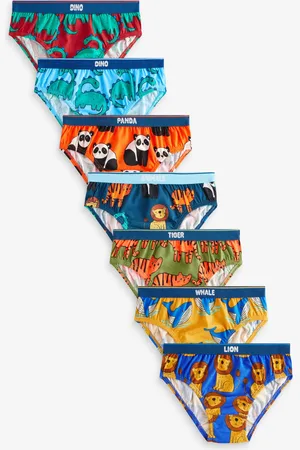 Next Slip en coton 100% 7 Paquet (1.5-10ans)2 - 3 ans (92 - 98cm)