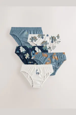 Next 100% Cotton Printed Briefs 5 Pack (1.5-10yrs)1.5 - 2 ans (86 - 92cm)