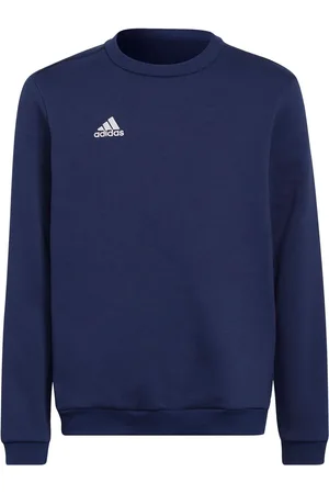adidas Sweat Entrada 22 11 - 12 ans (146 - 152cm)