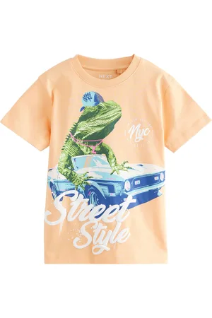 Next 100% Cotton Short Sleeve Graphic Print T-Shirt (3-16yrs)122128cm