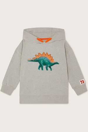 Monsoon Dinosaur Print Hoodie5 - 6 ans (110 - 116cm)