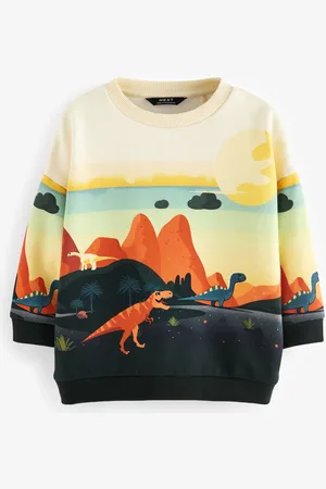 Next Character Scene Sweat à col ras du cou en coton 100% (3mths-7yrs)6 - Mois 9 (68 - 74cm)