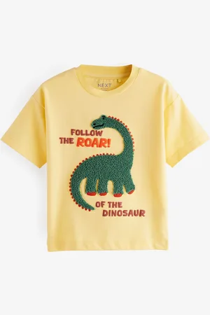 Next 100% Coton Manches courtes T-shirt appliqué (3mths-7yrs)5 - 6 ans (110 - 116cm)