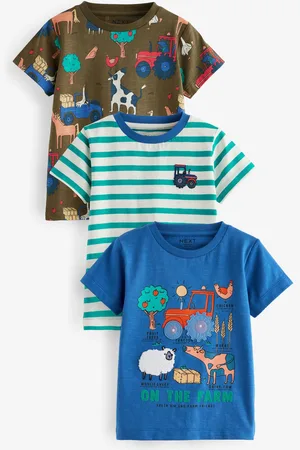 Next Short Sleeve Appliqué 100% Cotton T-Shirts 3 Pack (3mths-7yrs)3 - 4 ans (98 - 104cm)
