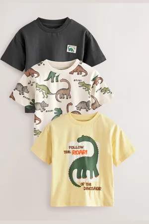 Next Manches courtes 100% Cotton T-shirt 3 Lot (3mths-7yrs)104110cm