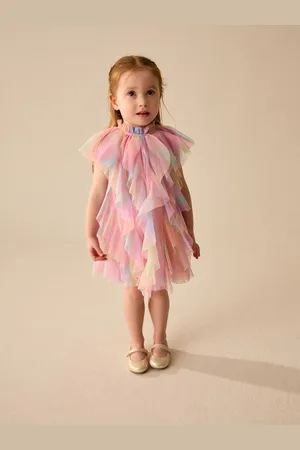 Next Sleeveless Mesh Party Dress (3mths-7yrs)104110cm