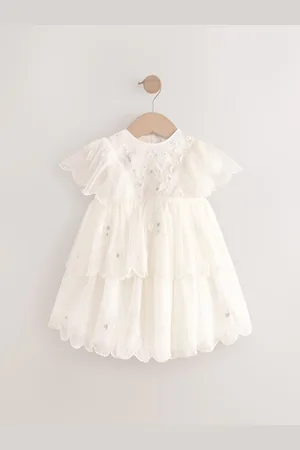Next Short Sleeve Embroidered Mesh Dress (3mths-7yrs)6 - 7 ans (116 - 122cm)