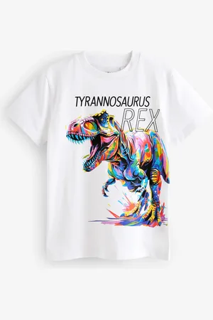 Next Short Sleeves Graphic 100% Cotton T-Shirt (3-16yrs)12 ans (152cm)