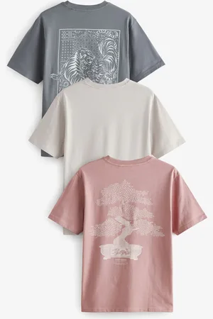 Next Summer Front Print Graphic 100% Cotton T-Shirts 3 PackXS