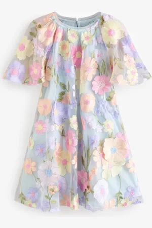 Next Embroidered Angel Sleeve Occasion Dress (3-16yrs)7 ans (122cm)