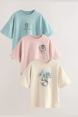 Next Coupe décontractée imprimé graphique à manches courtes Lot de 3 t-shirts 100% coton (3-16ans)110116cm