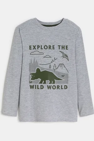 Okaïdi T-shirt motif dinosaure gris Garçon