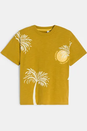 Okaïdi T-shirt manches courtes imprimé curry Garçon