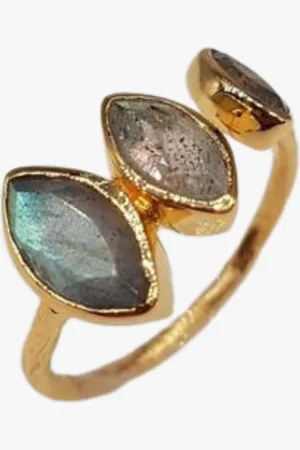Ginandger Bague labradorite