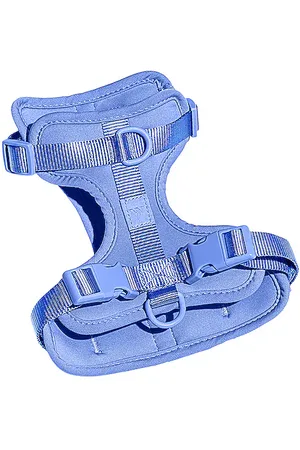WILD ONE HARNAIS EXTRA SMALL HARNESS in .