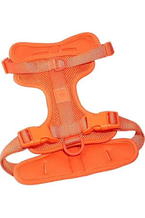 WILD ONE HARNAIS EXTRA SMALL HARNESS in .