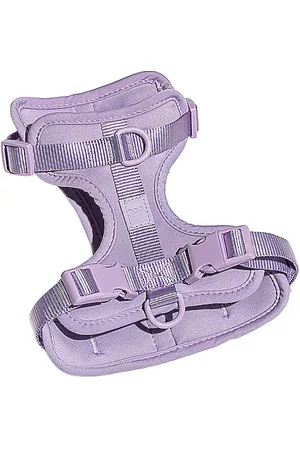 WILD ONE HARNAIS MEDIUM HARNESS in .