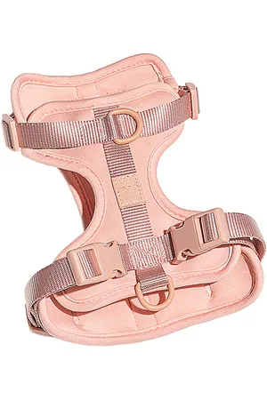 WILD ONE HARNAIS LARGE HARNESS in .