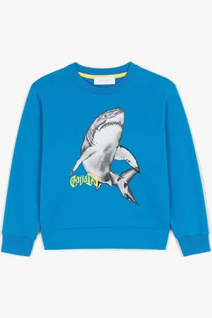 Roberto Cavalli Sweat À Imprimé Requin - Male Sweatshirts 08a