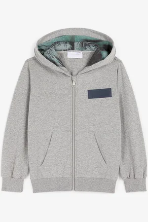 Roberto Cavalli Sweat À Capuche Zippé À Logo Appliqué - Male Sweatshirts 06a
