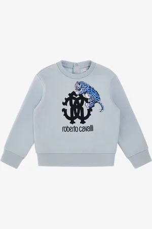 Roberto Cavalli Logo Sweatshirt - Male Prêt-à-porter 06m