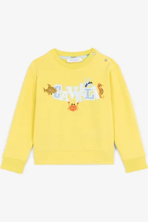 Roberto Cavalli Sweat Imprimé À Col Rond - Male Sweats 12m