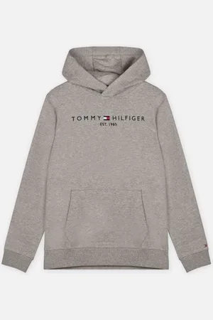 Tommy Hilfiger Vêtements Essential Hoodie