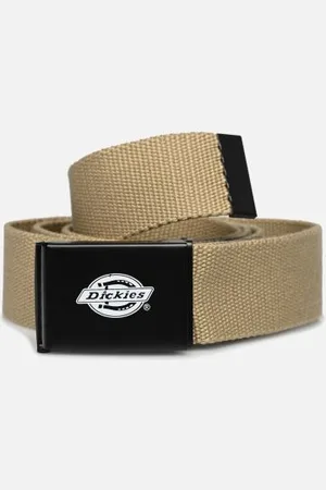 Dickies Ceintures Orcutt Webbing Belt