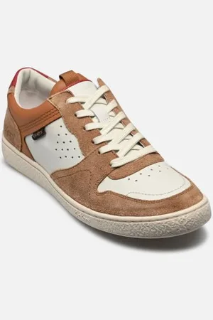 Kickers Baskets KICK SACKERS pour Homme