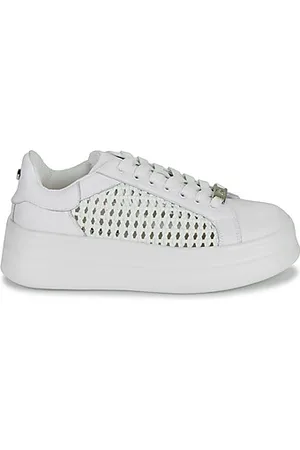Dorking Baskets basses SWIFT