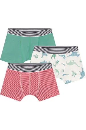 Petit Bateau Lot 3 Boxers Nido Coton Bio