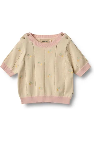 WHEAT Pull Manches Courtes Melvina Maille Coton Bio