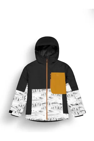 Picture Veste de ski Daumy