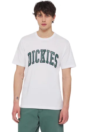 Dickies Sweatshirt Aitkin