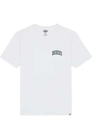 Dickies T-shirt Aitkin Chest