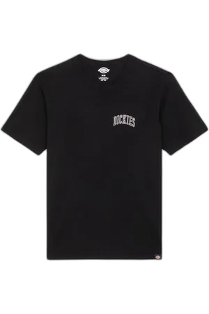 Dickies T-shirt Aitkin Chest