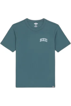 Dickies T-shirt Aitkin Chest