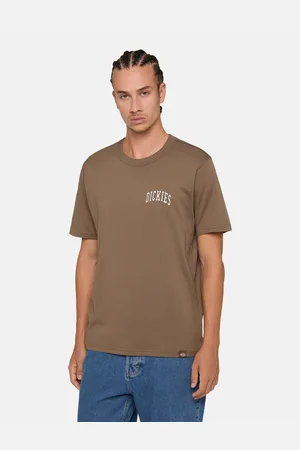 Dickies T-shirt Aitkin Chest