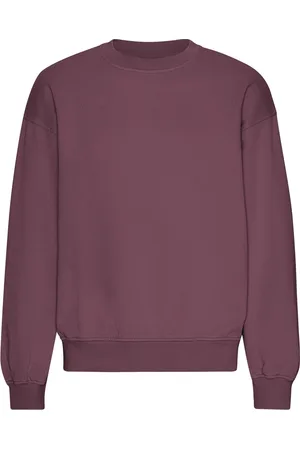 Colorful Standard Sweatshirt col rond oversize Organic Dusty Plum