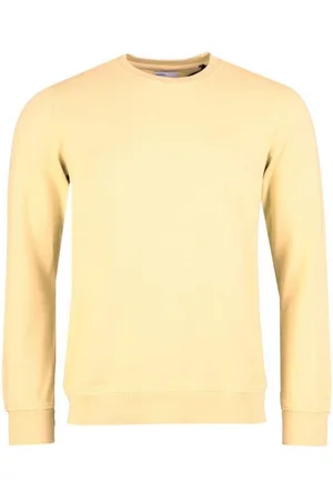 Colorful Standard Sweatshirt col rond Classic Organic soft yellow