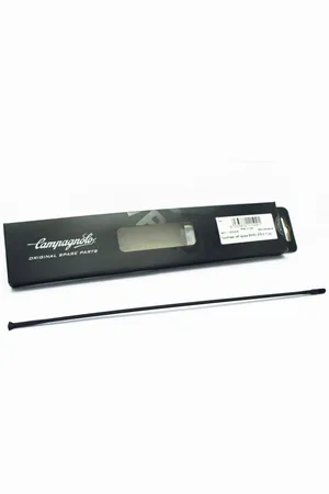 Campagnolo Rayon arrière gauche shamal mille