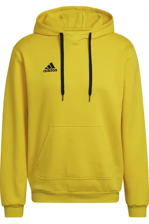 adidas Sweatshirt à capuche Entrada 22