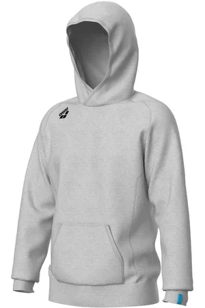 Arena Sweatshirt à capuche Team Panel