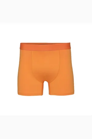 Colorful Standard Boxer Classic Organic sunny