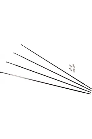 Campagnolo Rayons arrière gauche Zonda (x4)
