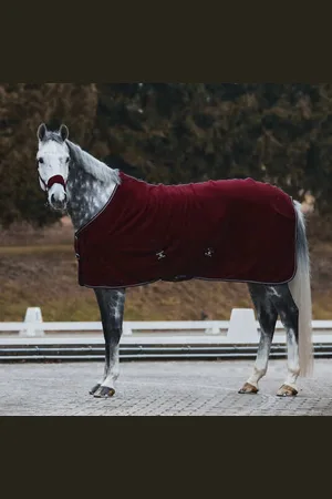 Horze Polaire pour cheval Kiel