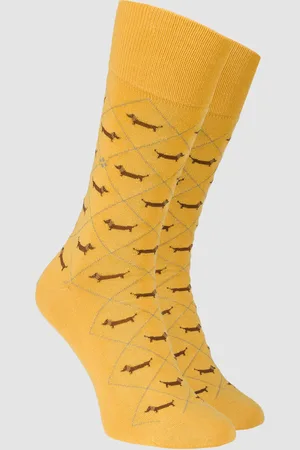 Burlington Chaussettes pour hommes Dachshund